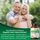 zazzee-alpha-gpc-and-organic-lions-mane--4.jpg