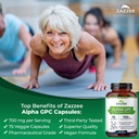 zazzee-alpha-gpc-and-organic-lions-mane--5.jpg
