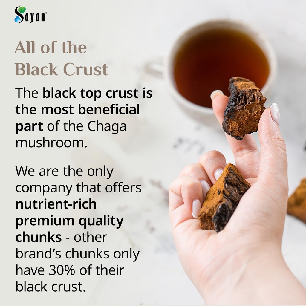 sayan-siberian-pure-raw-chaga-mushroom-c-2.jpg