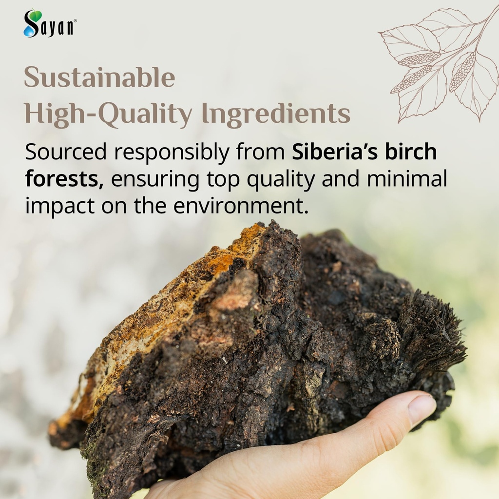 sayan-siberian-pure-raw-chaga-mushroom-c-4.jpg