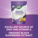 nature-s-way-sambucus-zinc-lozenges-with-5.jpg