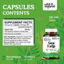 wild-organic-sea-kelp-capsules-600-mg-im-3.jpg
