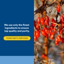 natural-factors-wellbetx-berberine-daily-5.jpg
