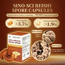 shell-broken-reishi-mushroom-spore-suppl-4.jpg