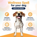 liver-health-supplement-for-medium-dogs--6.jpg