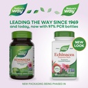 natures-way-echinacea-purpurea-herb-immu-2.jpg