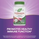 natures-way-echinacea-purpurea-herb-immu-4.jpg