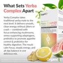 organixx-clean-sourced-yerba-complex-yer-6.jpg