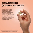 wellpath-creatine-hcl-gummies-750mg-sour-4.jpg