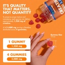 secret-element-creatine-monohydrate-gumm-5.jpg