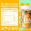 pets-purest-eaa-gummies-120-gummies-oran-4.jpg