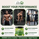 creatine-monohydrate-gummies-5000mg-120--5.jpg