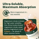 bienraiz-magnesium-citrate-230mg-element-4.jpg