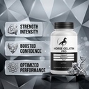 5-pack-horse-gelatin-capsules-official-h-4.jpg