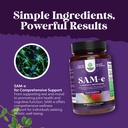sam-e-200mg-mood-support-supplement-s-ad-3.jpg