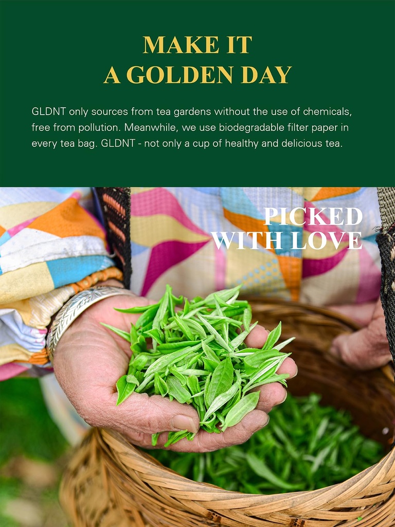 gldnt-organic-green-tea-bags-natural-pur-4.jpg