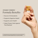 stonehenge-health-dynamic-turmeric-dynam-2.jpg
