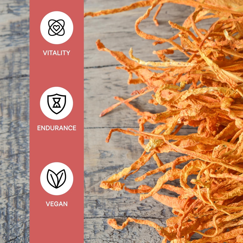 cordyceps-mushroom-extract-capsules-orga-4.jpg
