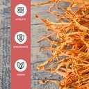 cordyceps-mushroom-extract-capsules-orga-4.jpg