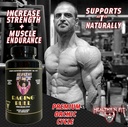 healthy-n-fit-raging-bull-mega-orchic-12-5.jpg