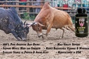healthy-n-fit-raging-bull-mega-orchic-12-6.jpg