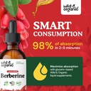 wild-organic-berberine-supplement-500mg--4.jpg