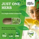 wild-organic-sage-capsules-1000-mg-brain-5.jpg