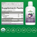 dynamic-health-mangosteen-gold-organic-m-3.jpg
