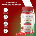 rize-labs-slim-labs-acv-keto-gummies-for-2.jpg