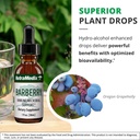 nutramedix-barberry-immune-support-antio-5.jpg