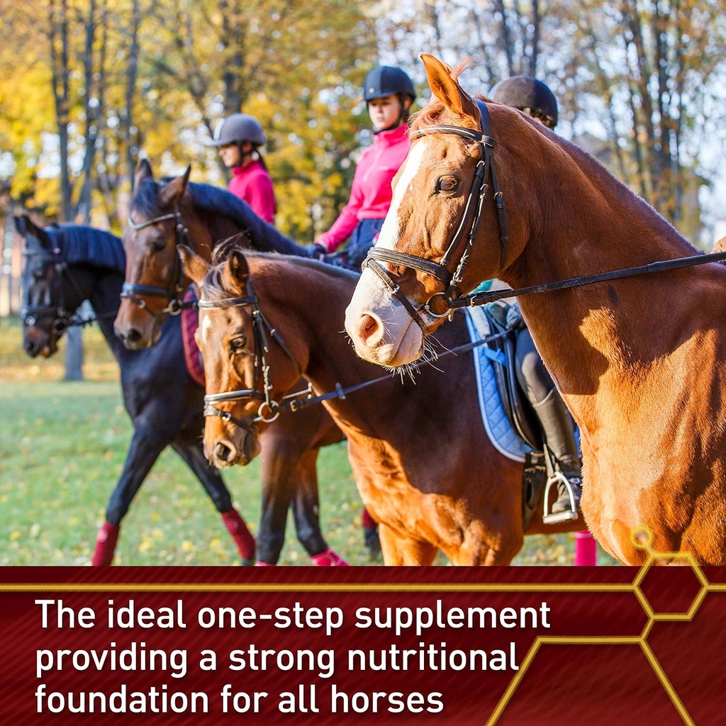 vita-flex-pro-accel-health-wellness-form-3.jpg