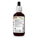 bitter-melon-momordica-charantia-dry-fru-2.jpg