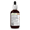 bitter-melon-momordica-charantia-dry-fru-3.jpg
