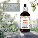xian-mao-curculigo-orchioides-dry-root-g-5.jpg