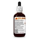 hawaii-pharm-butcher-s-broom-extract-tin-3.jpg