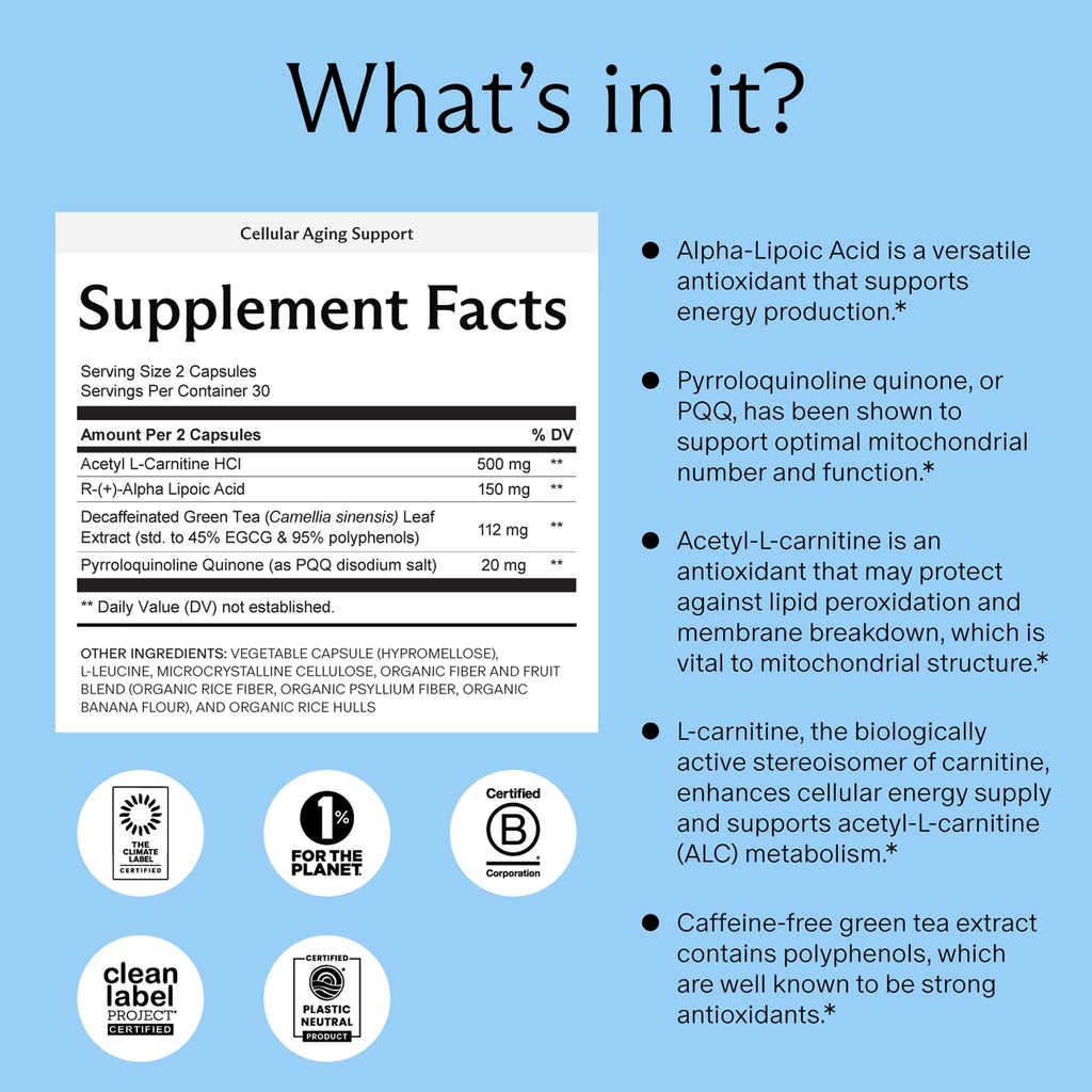 needed-cellular-aging-support-antioxidan-2.jpg