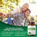 zazzee-herbal-lactation-support-bundle-3-4.jpg