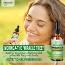 organic-moringa-liquid-drops-pure-moring-5.jpg