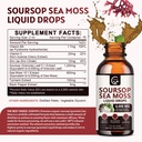2-pack-soursop-graviola-liquid-drop-sour-2.jpg