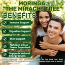 moringa-capsules-premium-moringa-oleifer-4.jpg
