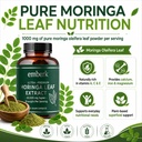 moringa-capsules-20-000-mg-strength-conc-3.jpg