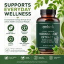 moringa-capsules-20-000-mg-strength-conc-5.jpg