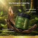 moringa-leaf-capsules-1000mg-organic-pur-6.jpg