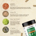 green-roads-cordyceps-energy-endurance-m-2.jpg