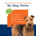 naturvet-all-in-one-dog-supplement-for-j-5.jpg