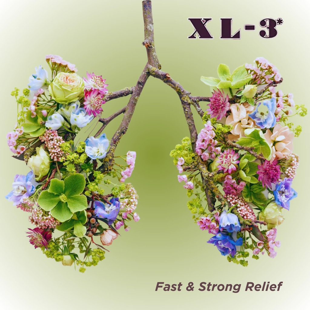 xl-3-allergy-24-hour-allergy-relief-2-pa-2.jpg