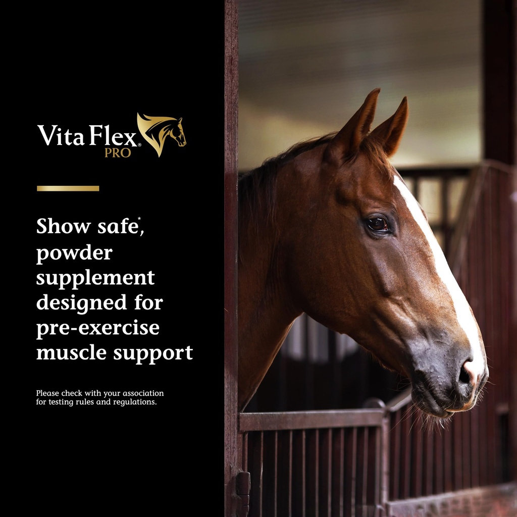vita-flex-pro-lactanase-pre-performance--2.jpg