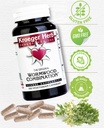 kroeger-herb-wormwood-combination-100-vc-3.jpg