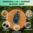 thyroid-support-supplement-with-sea-moss-3.jpg