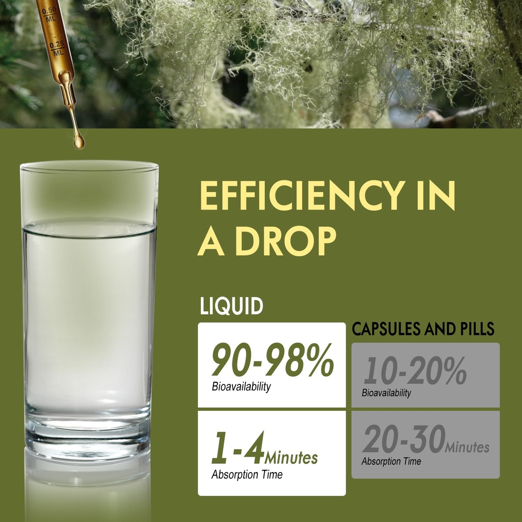pure-liquid-drops-usnea-extract-for-powe-4.jpg